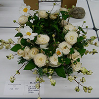 ホワイトリース　小高啓子作