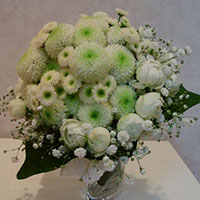 ロココボケーⅡ　隅谷さおりさん作