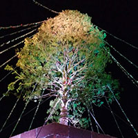 神戸メリケンパークの世界一のツリー2